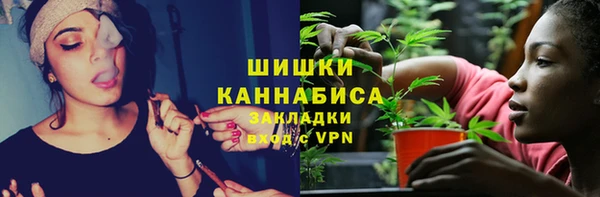 a pvp Белокуриха