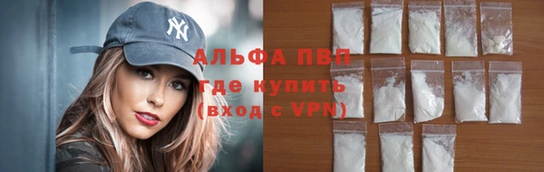хмурый Бородино