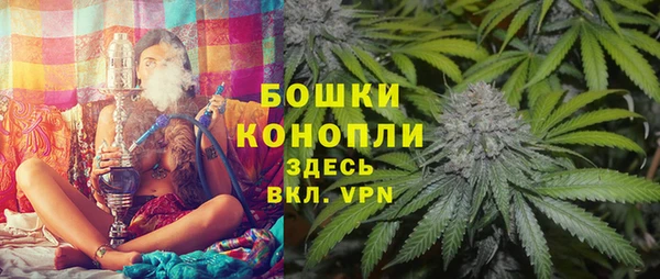 хмурый Бородино