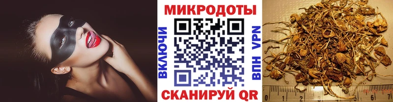 Галлюциногенные грибы Cubensis  Новое Девяткино 