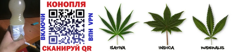 Бошки марихуана White Widow  купить  сайты  дарк нет как зайти  Новое Девяткино 